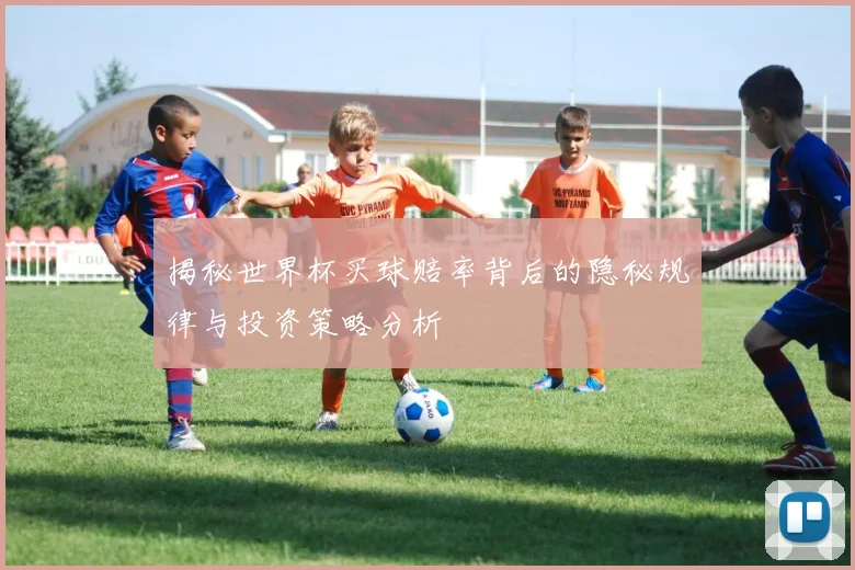 揭秘世界杯买球赔率背后的隐秘规律与投资策略分析